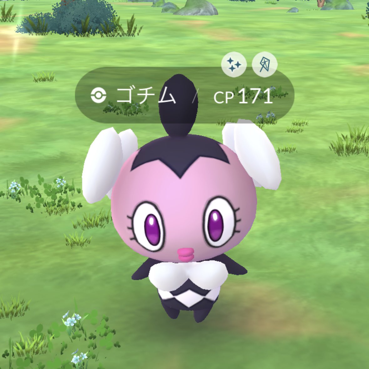 まだチケットの日じゃない(しかも街探検)のに、こんなにいいのか