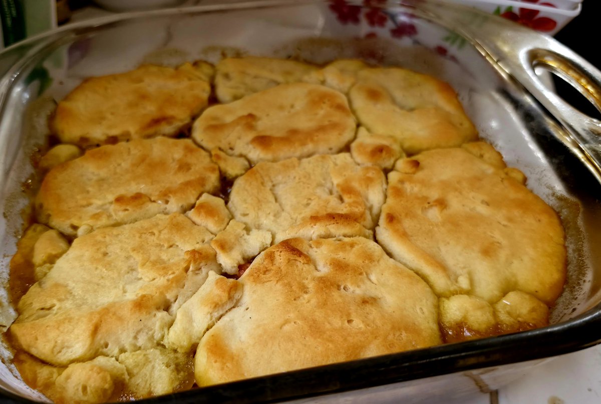 ZettaCrashVT's tweet photo. I made some chicken pot pie! https://t.co/aJUzC64oaT