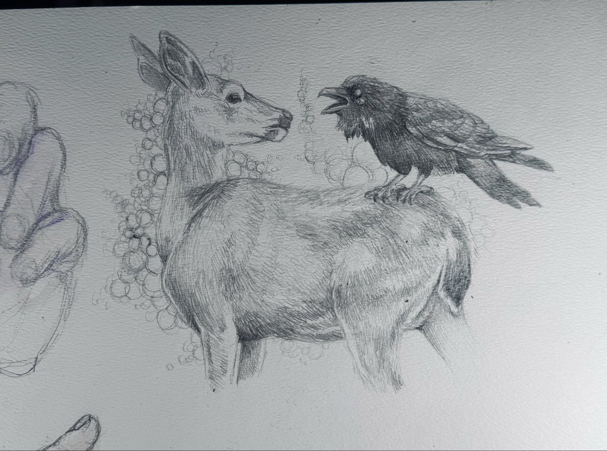 Corbeano2's tweet photo. Bonus deer and raven sketch https://t.co/YG7xp42mzb