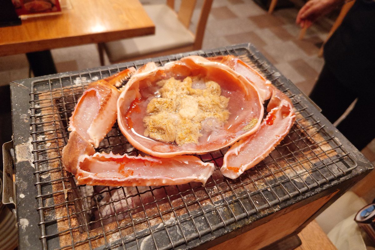駄目回路 tweet media