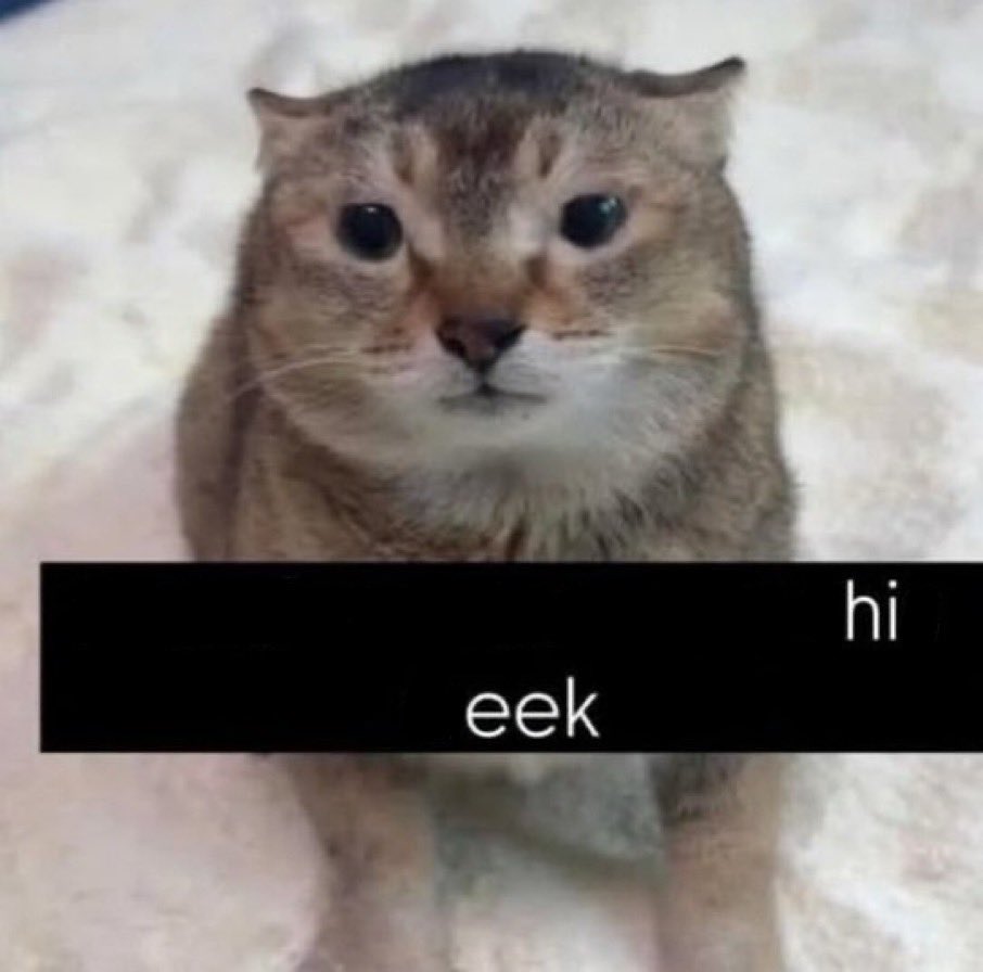 eve tweet media