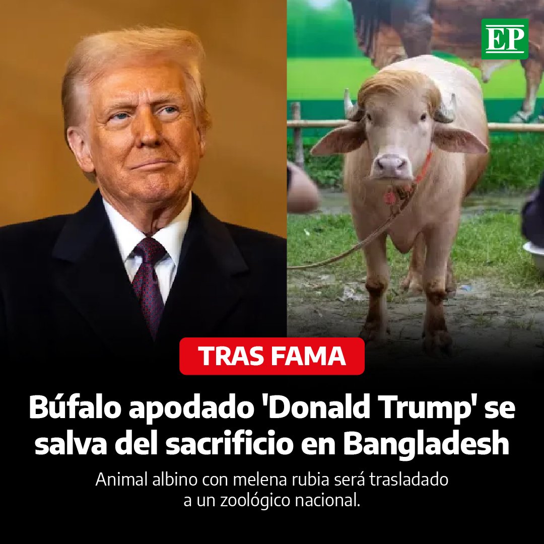 Diario EP tweet media