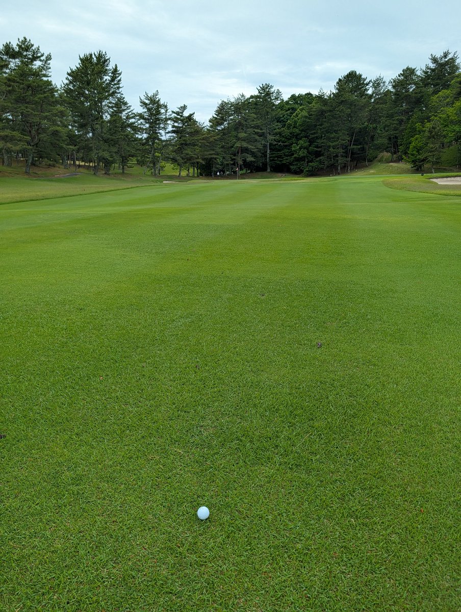 yohakuw's tweet photo. 2nd
#ゴルフ #golf https://t.co/7XA0DFTtok
