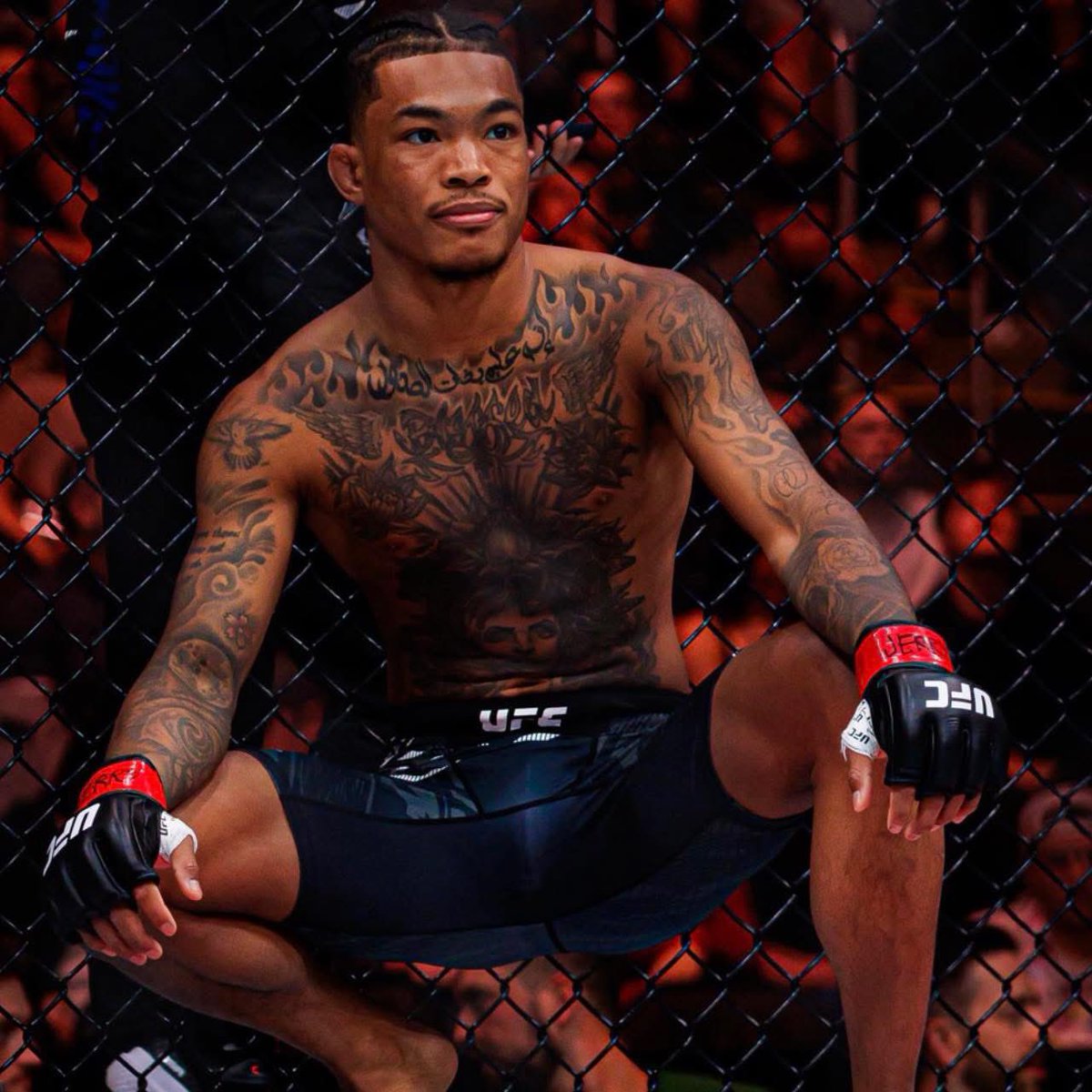 COMBAT SPORTS TODAY tweet media
