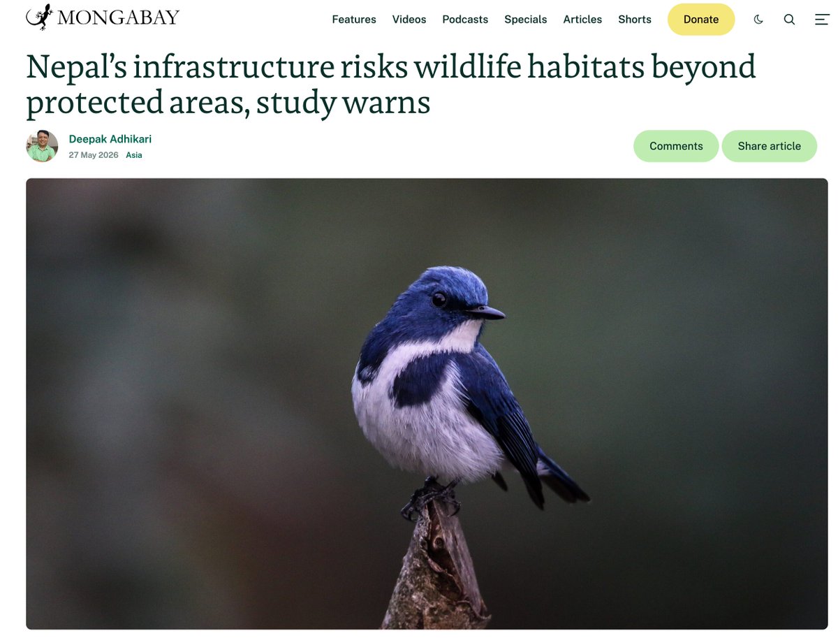 DeepakAdk's tweet photo. As Nepal expands highways, railways and power lines across the country, a new nationwide study warns the infrastructure boom is cutting through habitats and movement routes used by threatened species.

My latest for Mongabay https://t.co/kjxbIeP0KU https://t.co/Mttpm01TMN