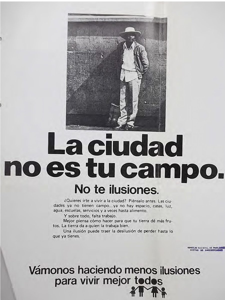 La Oxímoron 🐢🫖 tweet media