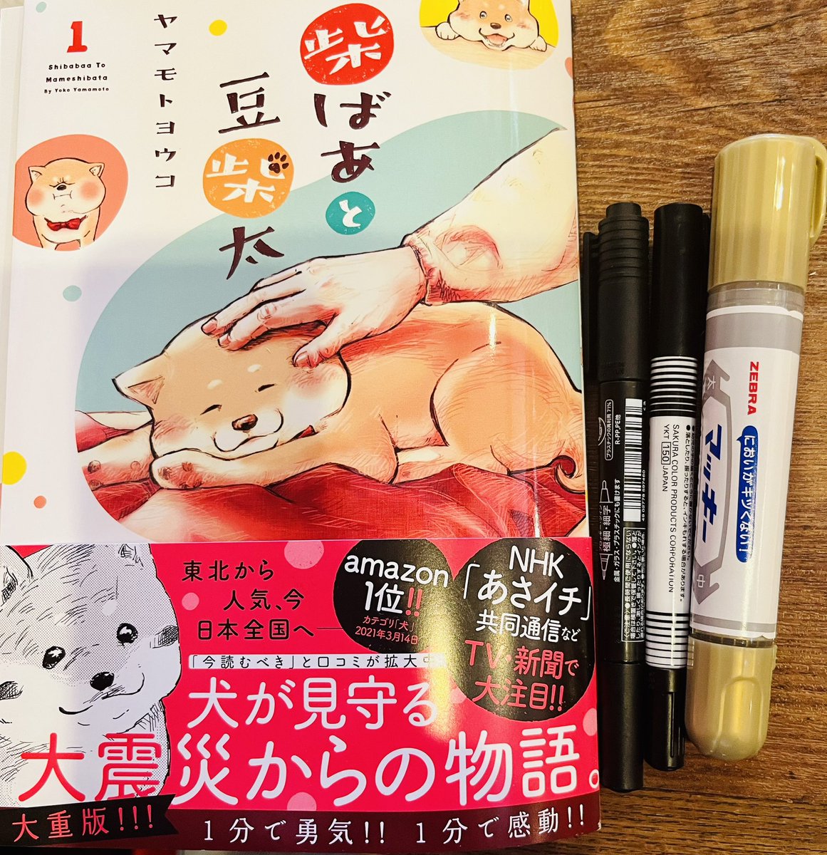 YY0905's tweet photo. お世話になった方へサイン本を描きました！
久々のアナログと豆柴太🐶、楽しかった〜✍️✨ https://t.co/vfugfTtqeG