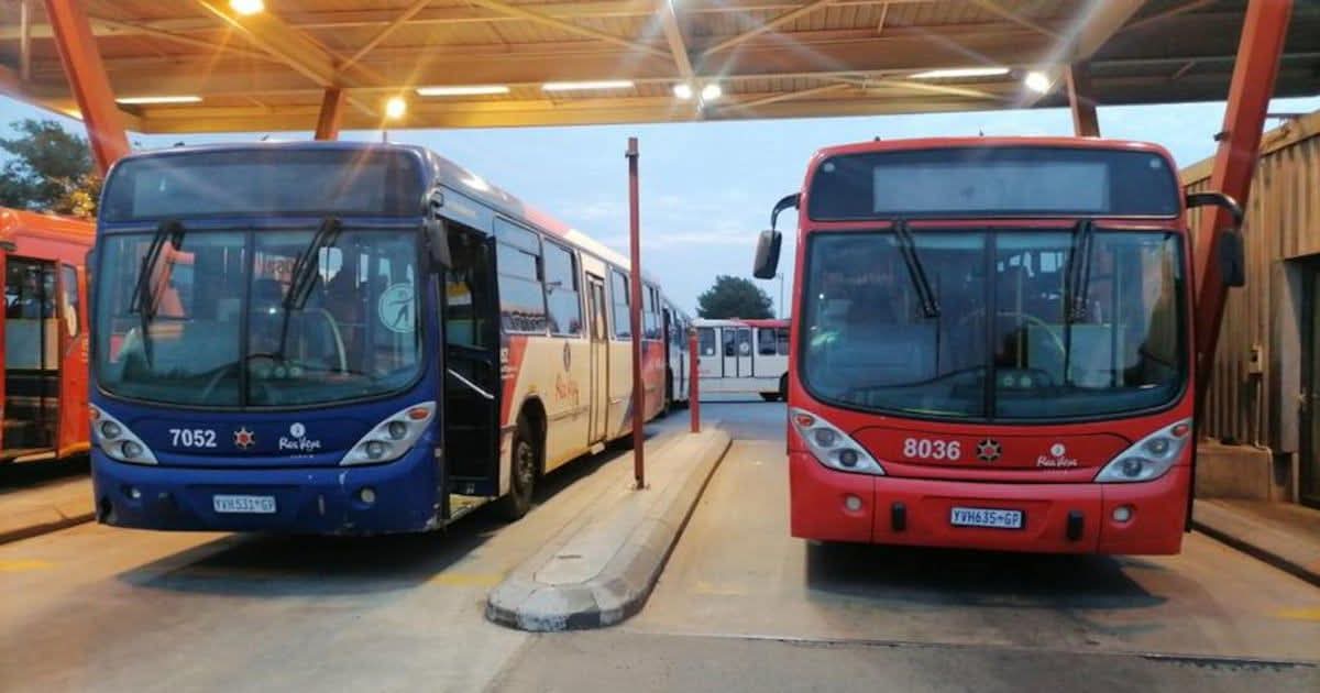 Rea Vaya Bus Transit tweet media