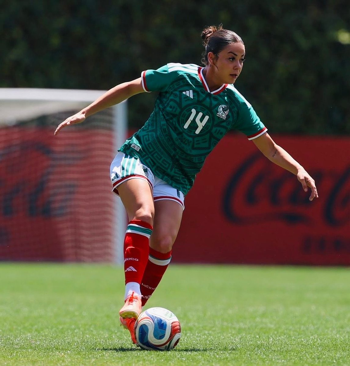 ligafemenilmex's tweet photo. Denise Castro causa baja de la Selección Sub-23, su lugar será ocupado por Allison Veloz 🇲🇽🇲🇽🇲🇽
#MiSelecciónFem #FutFem #Sub23Fem https://t.co/UNzICvjOoy