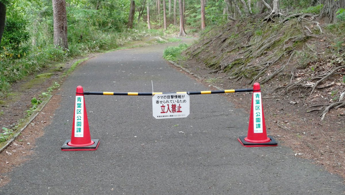 gisa_ALC's tweet photo. ちょいとまた怪我して卓球は休業してます
まだ痛みがあるものの何も運動しないのは良くないと思い散歩しに行ったらコレだった😱 https://t.co/9ursJaM4aU