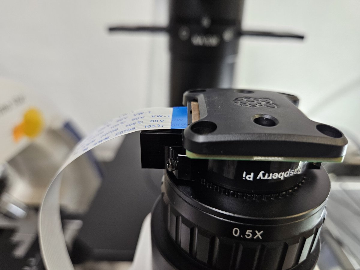 davesnetvault's tweet photo. Testing our high-speed video microscopy set up for measuring C-elegans behavior. Soon more pics and trackings!!!!#Glyxon, #Primordia, #openscience https://t.co/xugLmtSz1L