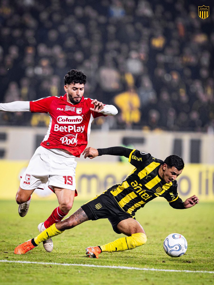 Alen Banewur Rubin tweet media