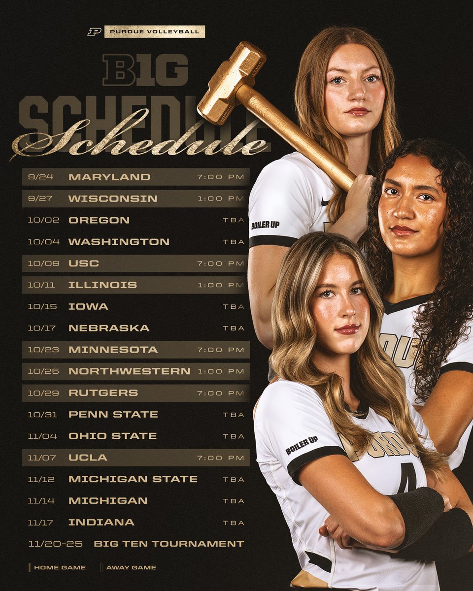 Purdue Volleyball tweet media