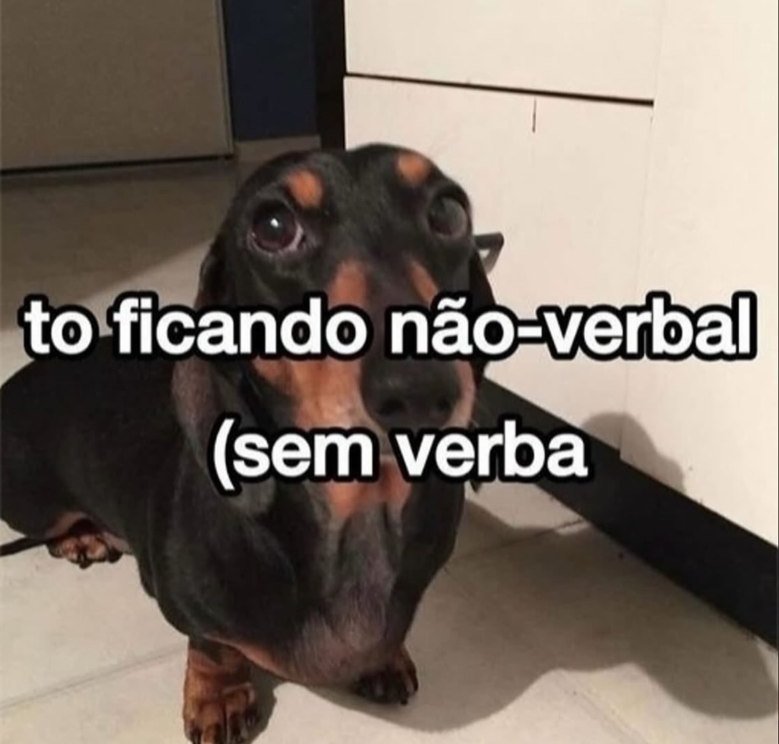𝒅𝒂𝒋 tweet media