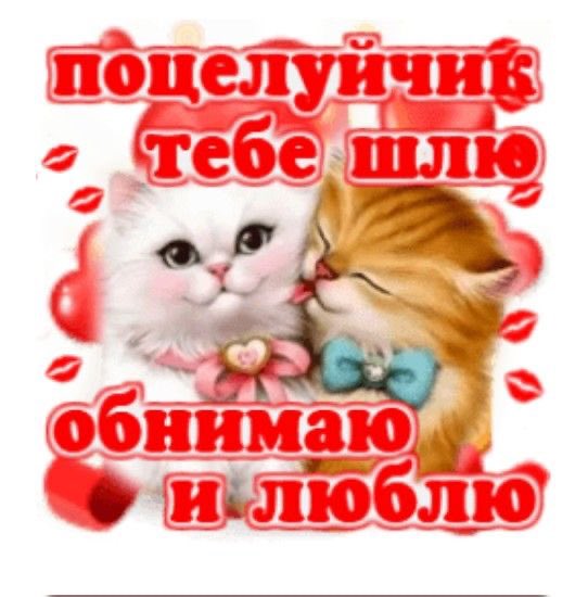 🎀💕 кусок гнилого хлеба по ГОСТу💓💝 tweet media