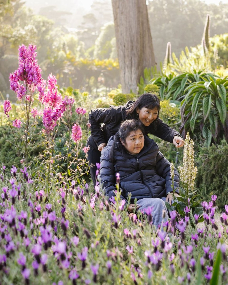 GardensofGGP's tweet photo. Be a champion for everybody’s Gardens with a fully tax-deductible donation today 🏆🌿

💚 Your support will ensure that the Gardens thrive—conserving rare and endangered plants, inspiring lifelong learning, and nurturing a sense of belonging. https://t.co/sjGm1B4euH