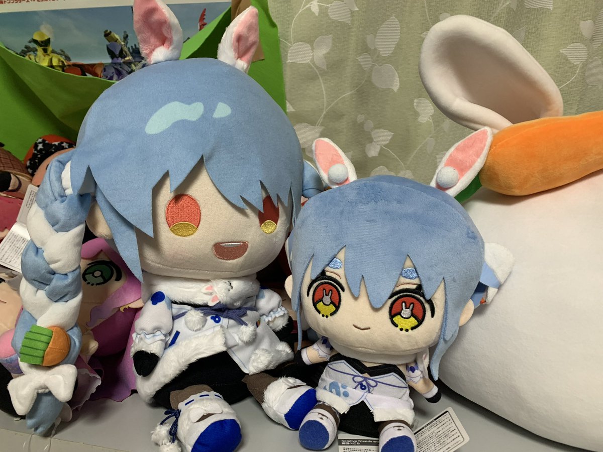 ナナオ🏴☠️ 🐈🌸 tweet media
