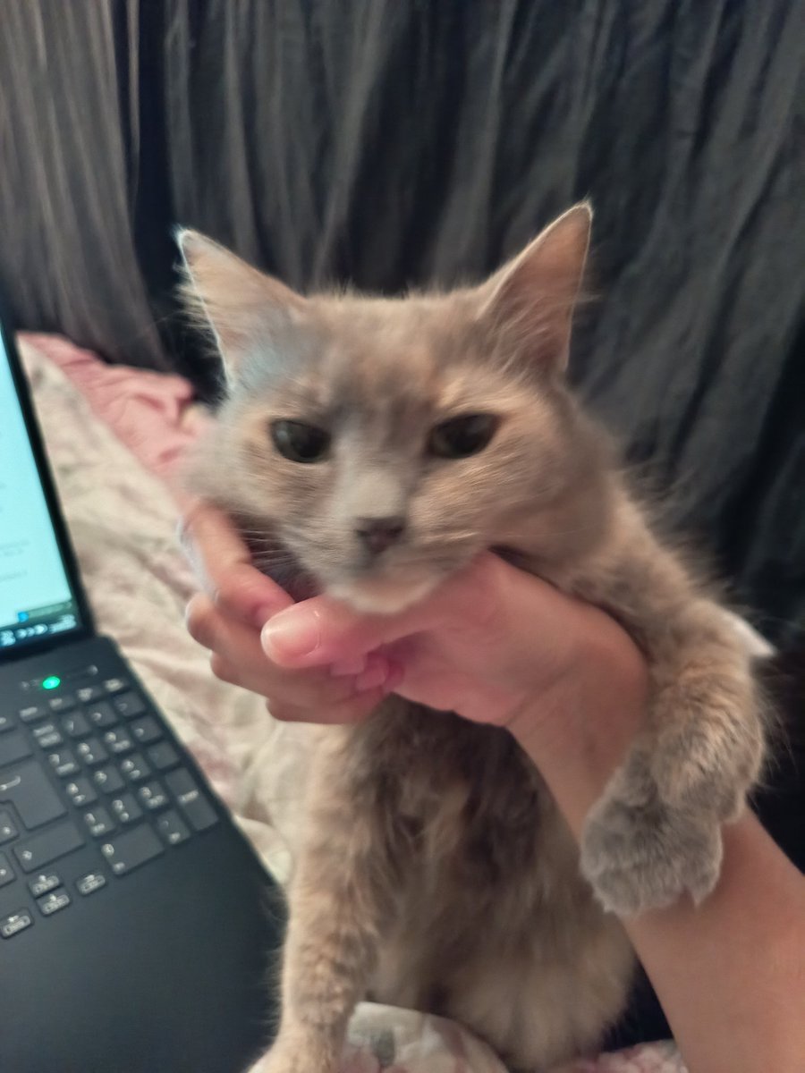 æuuɐ 🍋🟩 | VAI VER O AESPA!!!! tweet media