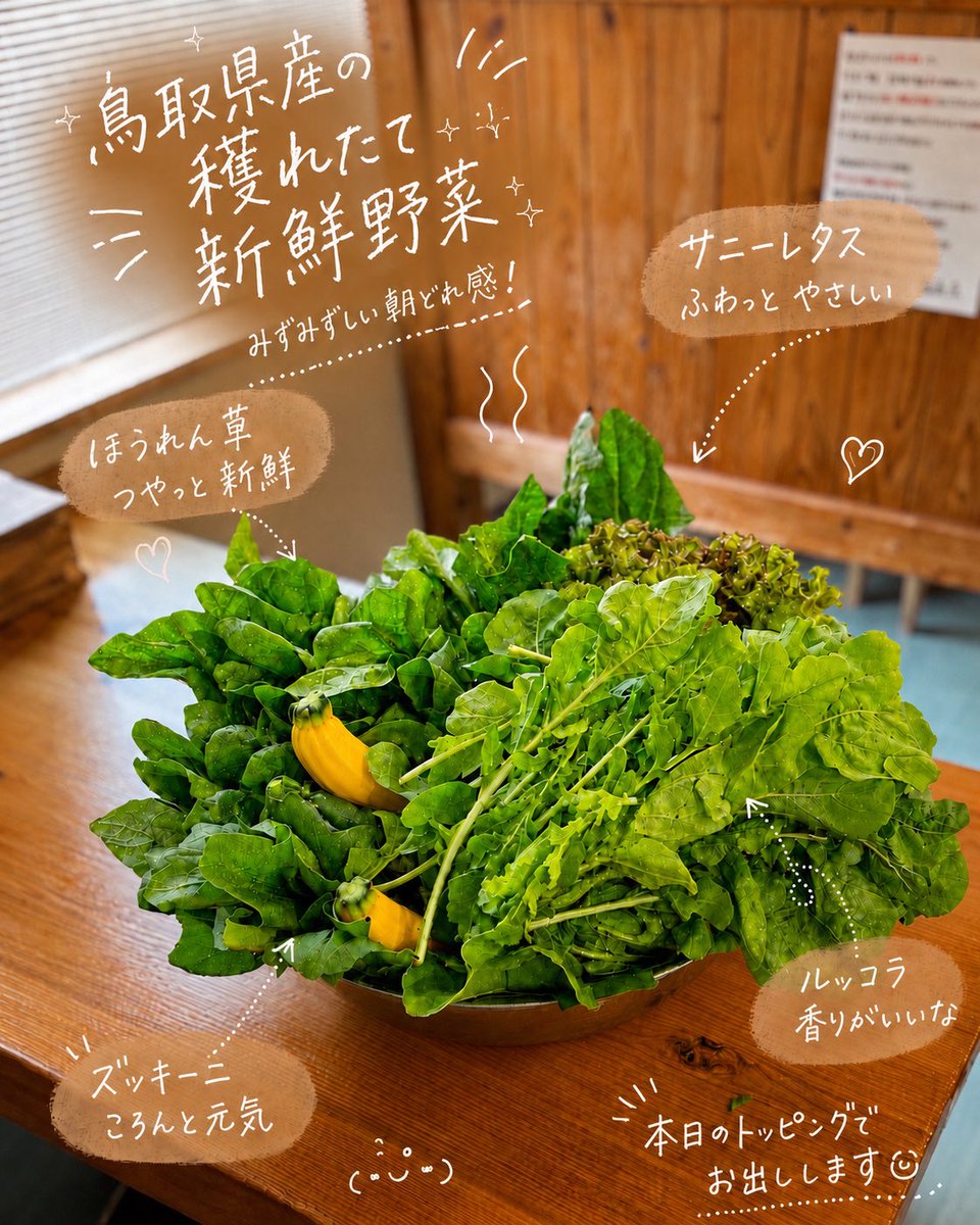 houkiya_yonago's tweet photo. おはようございます🌞

明日29日は恒例の🍖の日👨🏻‍🐰‍👨🏽🕺🏻👩🏼‍🐰‍👩🏻
本日は前夜祭🪩💃🏻
皆さんの健康を考えて‼️
言わばエゴとエゴのシーソーゲーム⚖️
不思議なくらい人はまた恋に落ちてく🫶

て事で‼️
旬の穫れたて地元産の野菜を沢山ご用意🥗🥦🥬🌱🥒
【焼きズッキーニ】は絶対食べて‼️
更にオススメは【ロケット🚀ネギチャーご飯】‼️
今の時期だけ‼️
と言うか‼️
ある時だけ‼️
いや気分なだけ‼️
あ…このテンションは…
そう…😣久しぶりにアイツが…レディ…🤡🫶

頼みたいんだけど🥒どこにボタンあんの❓とかetc
わからない事は遠慮なく聞いてくださいね👨🏻‍🐰‍👨🏽
誰かさんが色々コロコロ勝手に変えたりするもんで‼️
誰もわからなくて当然なんで‼️
本当に‼️マジで‼️遠慮なく‼️

お支払い方法は引き続き【現金のみ】です🙏
ご理解の程〜何卒〜すみません〜🙏

あ‼️
めちゃくちゃホワイト案件の求人あります‼️
引き続きよろしくお願いします‼️
人手不足‼️
ピンチ‼️
ヘルプ‼️

令和8年5月28日(木)

10時30分に開店で
20時30分でラストオーダー
⚠️本日は営業🗓️通り【昼夜通し営業】

⬇️昼営業のメニューです✌️🦸🏻‍♂️

【通常🍜】
▶︎ホンモノ家系ラーメン《 濃口or淡口 》

【限定🍜】
▶︎油ソバ
▶︎ホンモノ家系ラーメンのつけ麺
▶︎鳥取ネオ中華蕎麦

【限定🍚】
▶︎賄い飯
▶︎🆕ロケットネギチャーごはん

ヨロピコ🫶

あ❣️
フォロワー限定🉐サービスはリプ欄で⬇️

#宇宙一ヒマな家系ラーメン屋
#日本一田舎の家系ラーメン
ヤッホー久しぶり〜 #Kちゃんラーメン 
#SupportYourLocalRamenShop