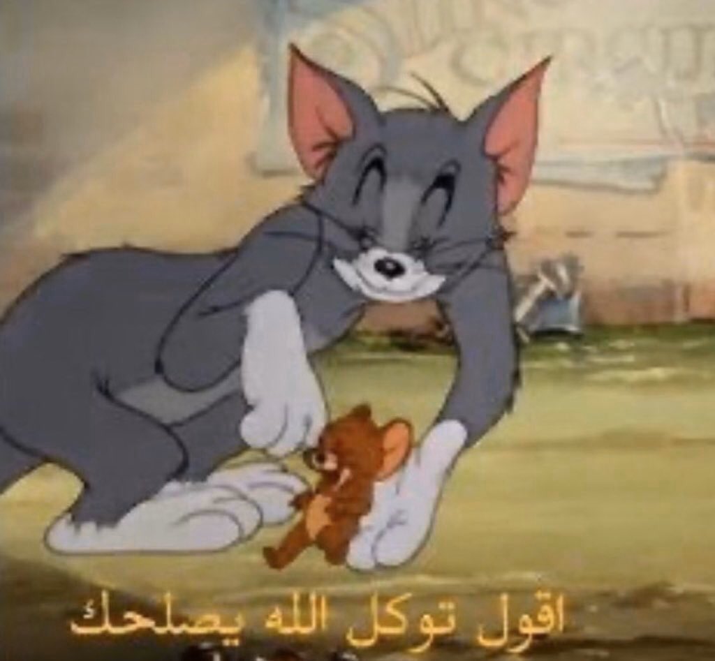 السلف تاو | ارادة الحقيقة tweet media