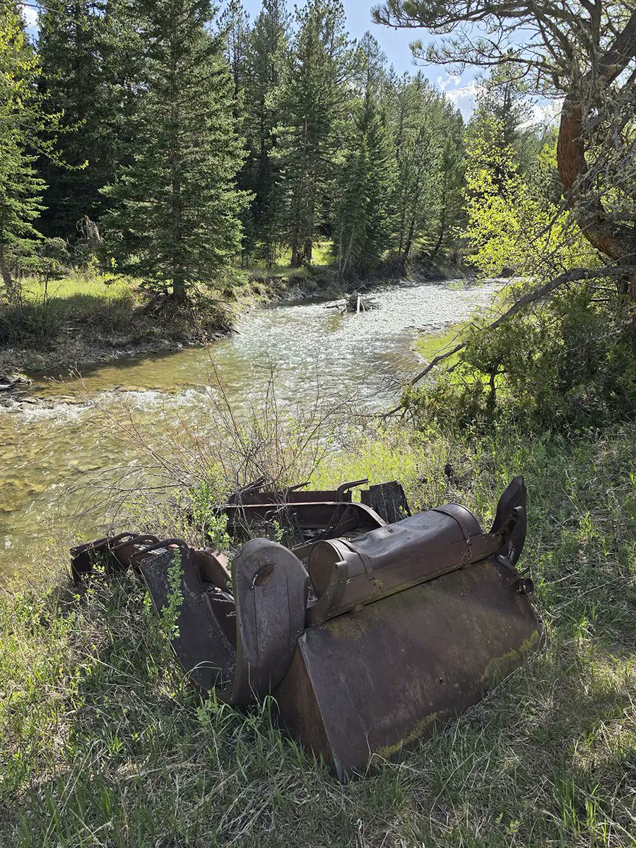 Saltwateronfly's tweet photo. Some days you don't need a guide. You don't need a drift boat, a shuttle, or a crowd. You just need boots, a backpack, and enough sense to follow a trail until the trees open up and the stream finds you.
That's where I was yesterday.
Western Tanagers working the cottonwoods along the bank — that ridiculous flash of red and yellow against a Montana sky full of white clouds that looked like somebody painted them there on purpose. The kind of scene that makes you stop casting for a minute just to look at it. Just to make sure you're actually standing in it.
The water was clear. I mean clear — the kind where you can read the bottom at four feet and watch a cutthroat slide two inches to eat your fly. A #16 Pheasant Tail in the riffles. A Hare's Ear dropped into the slow water behind a boulder. Both working. Neither one being hurried.
I had the Summit Pack 7'6" 3-4 weight in my hand and it was exactly the right rod for every inch of that water. Tight willows on the left bank — short, accurate casts with a tip that loads at thirty feet and doesn't punish you for it. Hiked three miles in with that rod collapsed in my pack and never thought about it once. Pulled it out, extended it, and was fishing in under a minute.
The cutthroat didn't care what I was carrying. But I did. A heavier, stiffer stick on water that tight and that technical would have cost me fish. The soft glass tip read every take. Kept every tippet intact. Did what a good small stream rod is supposed to do — get out of the way and let the fishing happen.
I didn't count fish. I didn't check my phone. I just walked and cast and watched Tanagers until the light went gold and it was time to hike out.
That's the whole point.
👉 https://t.co/ZA0BVvfxQg
#FlyfishingMontana #CutthroatTrout #RockyMountains #SummitPackRod #BackcountryFlyFishing #PheasantTail #HaresEar #WildTrout #PublicLands #MontanaLife
