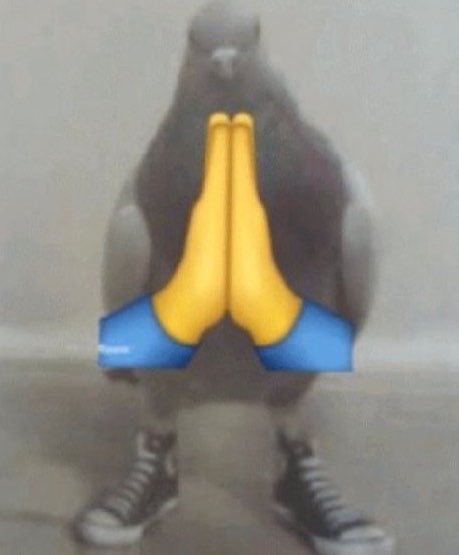 loulou le pou tweet media