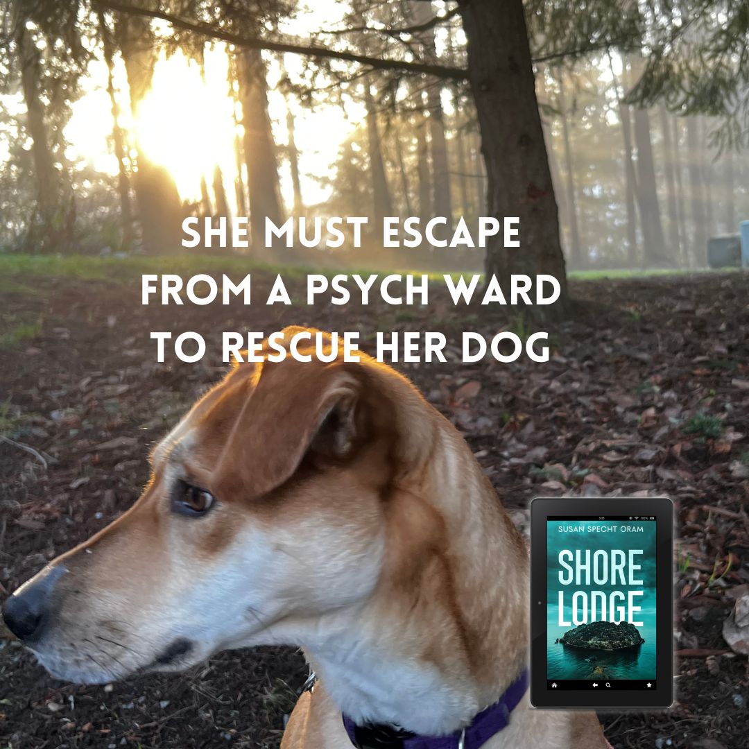 Susanspecht's tweet photo. Our dog Abby in the golden hour &amp; a plug for my first psychological thriller! #thrillerbooks https://t.co/RaiMguVuHm