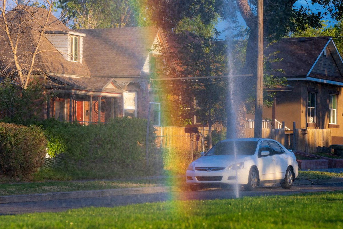 loganzphoto's tweet photo. Sprinklers and bicycles. https://t.co/odG4ojoQyE