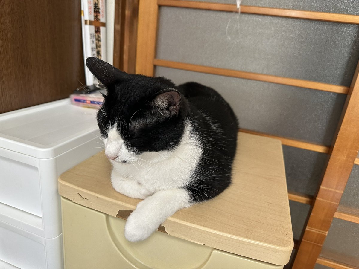 那須の長楽寺 tweet media