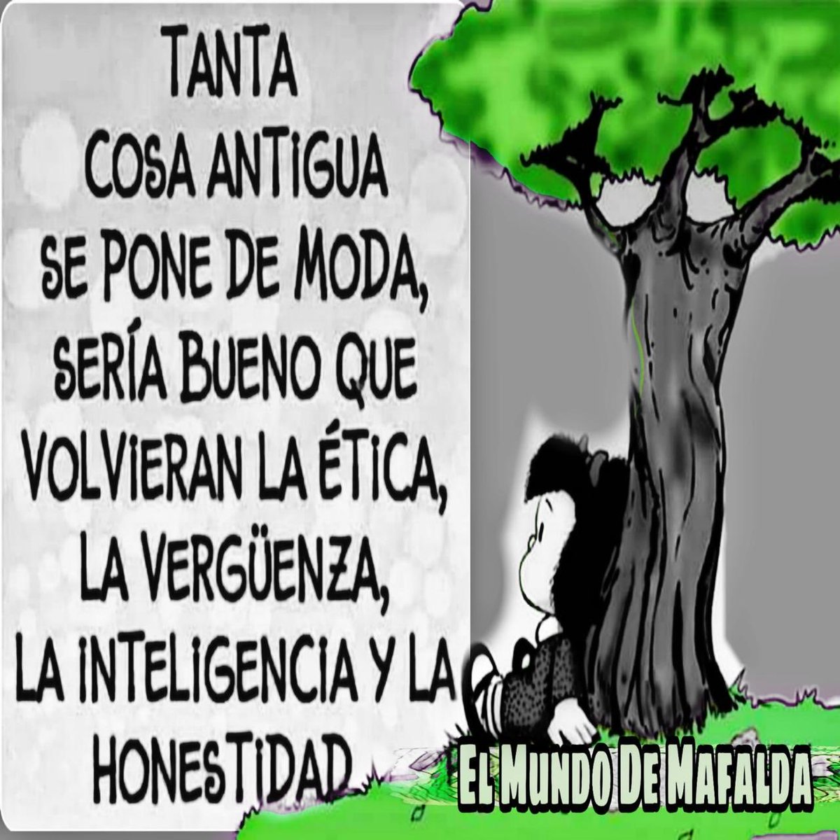 Rodrigo Torrealba tweet media