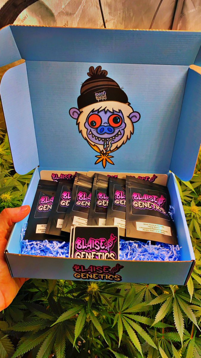 Blaise Genetics tweet media