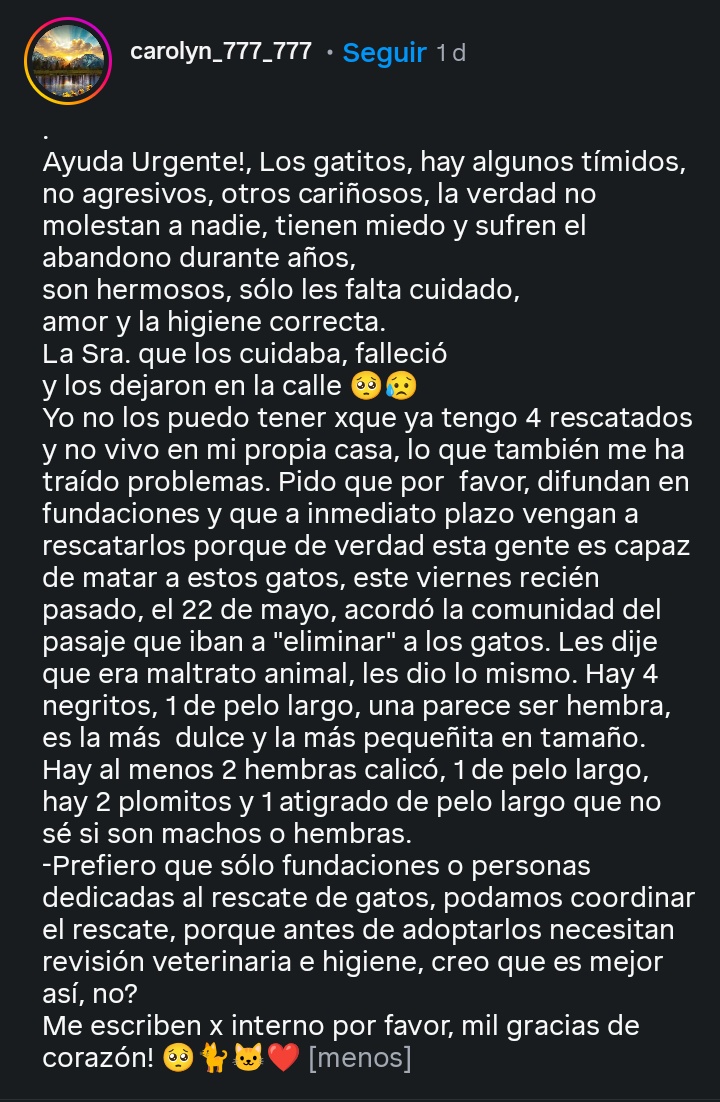 #Rulifx® 🐾#ViudaDelClan tweet media