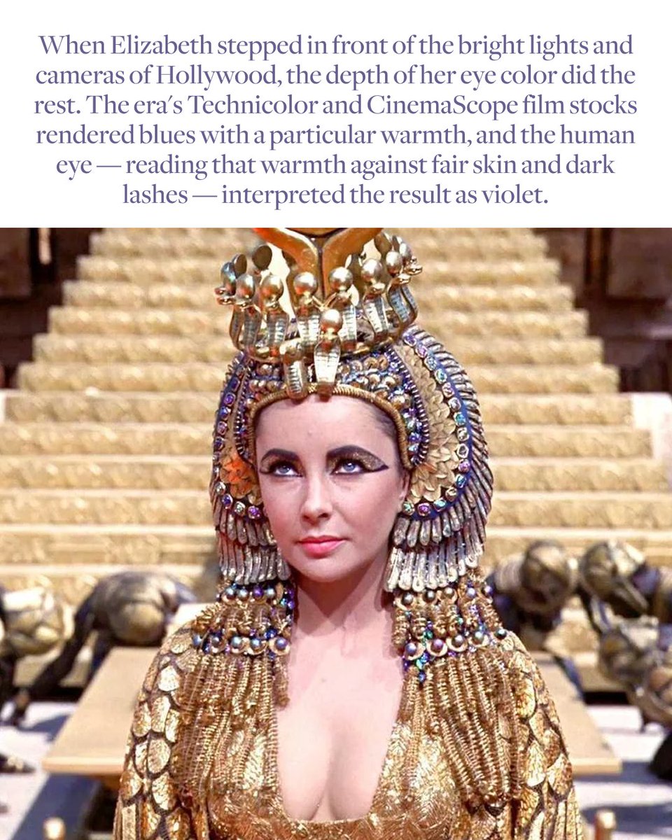 ElizabethTaylor tweet picture