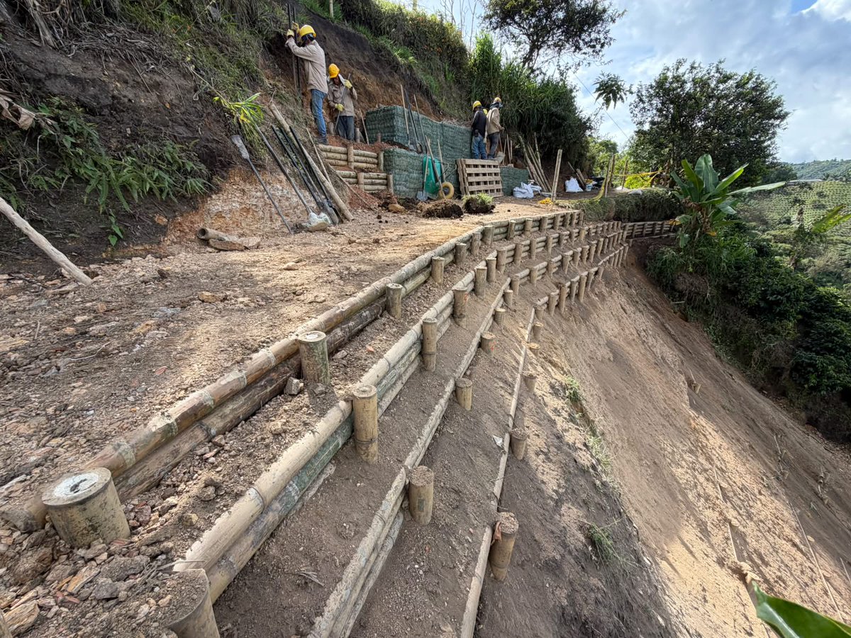 sinderrumbe's tweet photo. Los Bioingenieros comunitarios de Esmeralda Alta en Santuario, Risaralda, nos comparten el avance en su obra. Esto es Gestión de Riesgos con Soluciones basadas en la Naturaleza y las comunidades: Obras hechas por y para ellos mismo. @CarderRisaralda https://t.co/xv4LQKhwq8