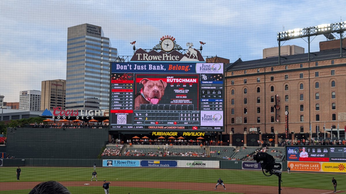 MillsTwitch's tweet photo. For Bark At The Park, the Orioles have an adoptable dog from @BARCS_SHELTER in place of the players headshots. 

Complete with QR code for adoption information. 

Fantastic work @Orioles. https://t.co/HgICEq8Z3T