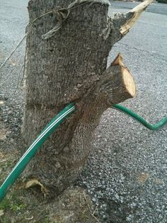 BenDoesStuff7's tweet photo. @Bruce000999 @Ivantheboomer @Gryffix Heres a chair impaled into the side of the Joplin Hospital after the tornado, the same tornado also impaled a garden hose into a damm tree https://t.co/llX760w0YU
