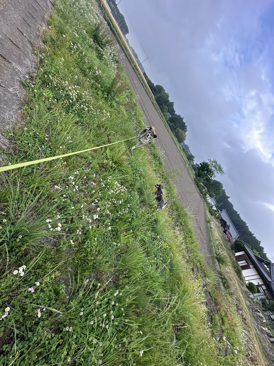 ♨️ひでちん🤟 tweet media