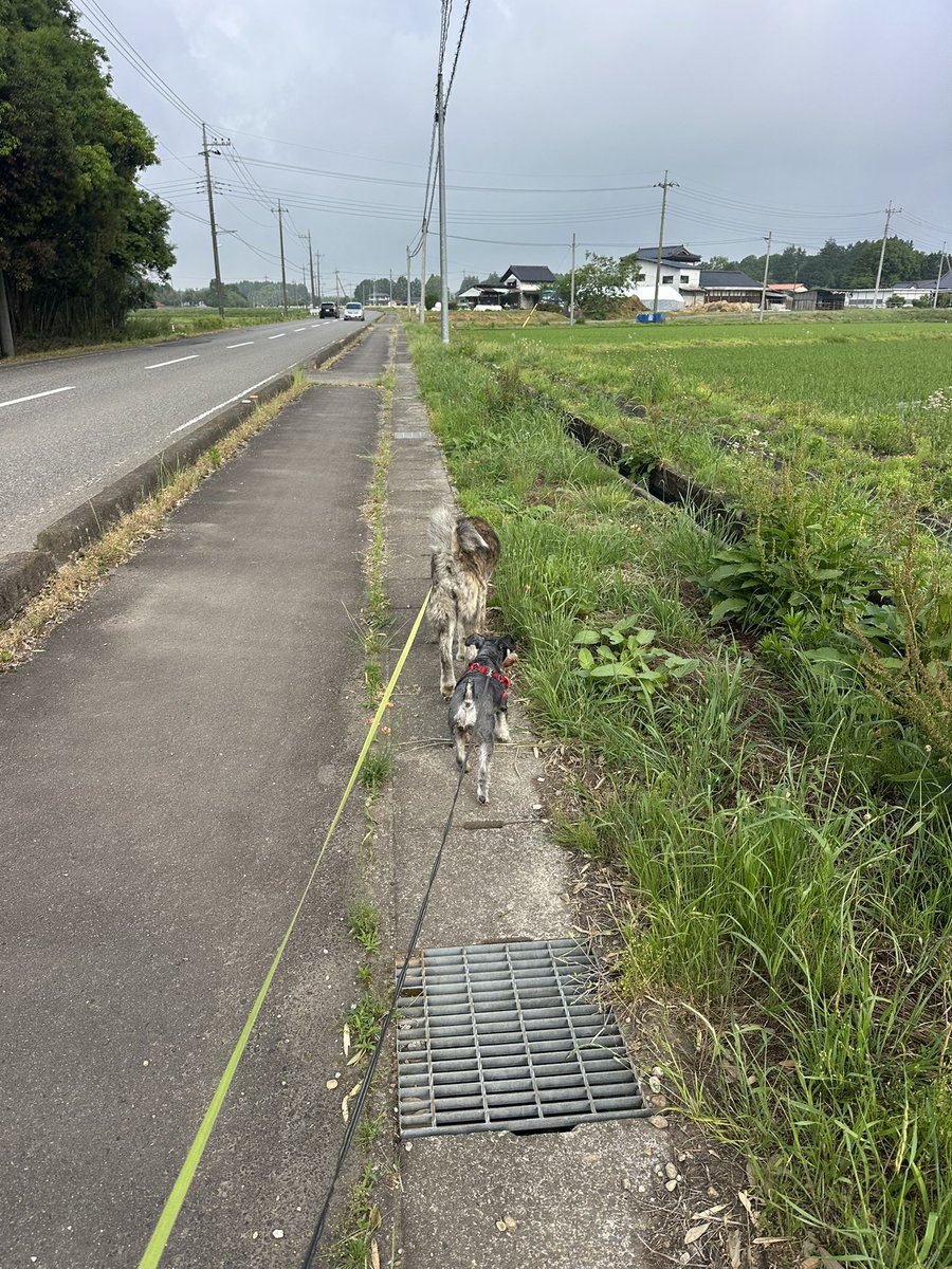 ♨️ひでちん🤟 tweet media