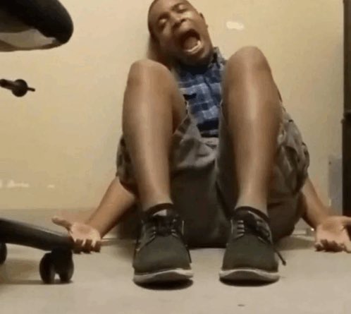 🪸 tweet media