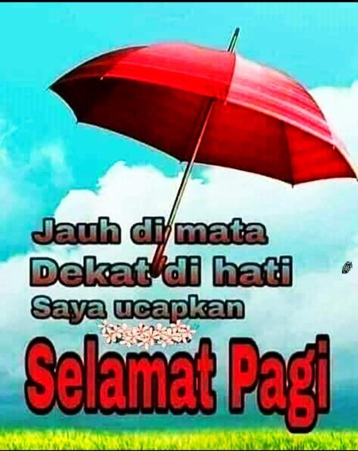 gie` || WOF•TTH•WU tweet media