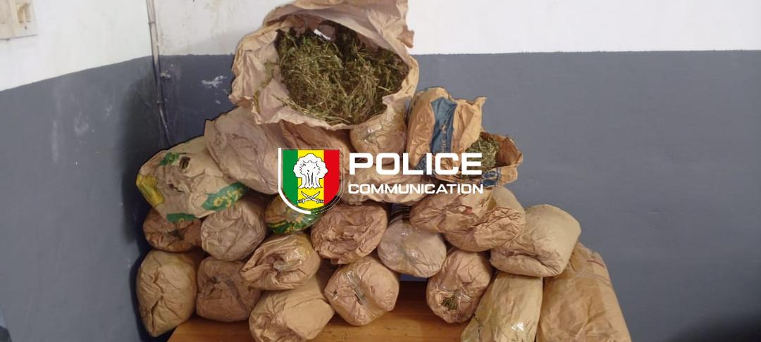 PoliceNationSN's tweet photo. #Ziguinchor : La BRS (OCRTIS) a saisi 23 blocs de chanvre indien à Kafountine après l'infiltration réussie d'un agent. Malgré l'alerte de guetteurs locaux, un acteur clé du réseau et son complice ont été interpellés. Enquête en cours. #Sénégal #Stups https://t.co/1dANbWh6TP