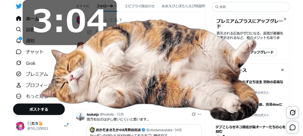 TiG_OZR011's tweet photo. ホント助かってる!猫に感謝!!(笑)
#CatGatekeeper https://t.co/QafqeypGAU
