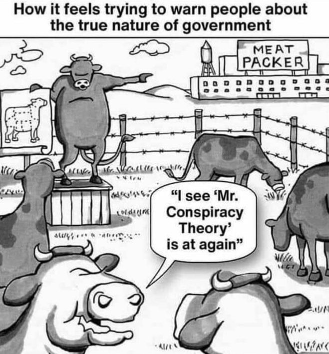 zionsprotocols's tweet photo. Seed oils and glyphosate goyslop everyday, mixed with pharmaceutical drugs and vaccines flowing through your blood stream and into your brain, combine it with a lifetime’s worth of propoganda and forever debt, makes for a nation of inebriated cattle in constant survival mode. https://t.co/HWPL9Hp28m