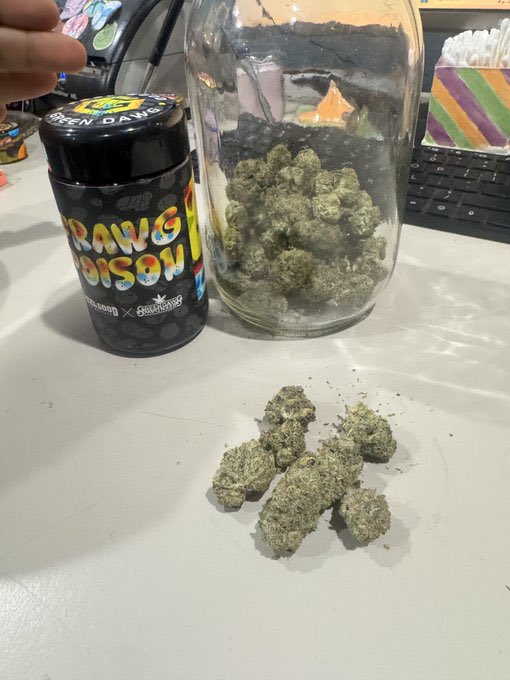 wescoastalchemy's tweet photo. The timeline knows what time it is 🔥

    One puff and the room silent 🤫 

#FrawgPoison
#ExoticsOnly
#LoudPack
#CaliWeed
#CraftCannabis
#IndoorFlower
#FireFlower
#ZaZa
#StickyIcky https://t.co/VWOI6mXR0p