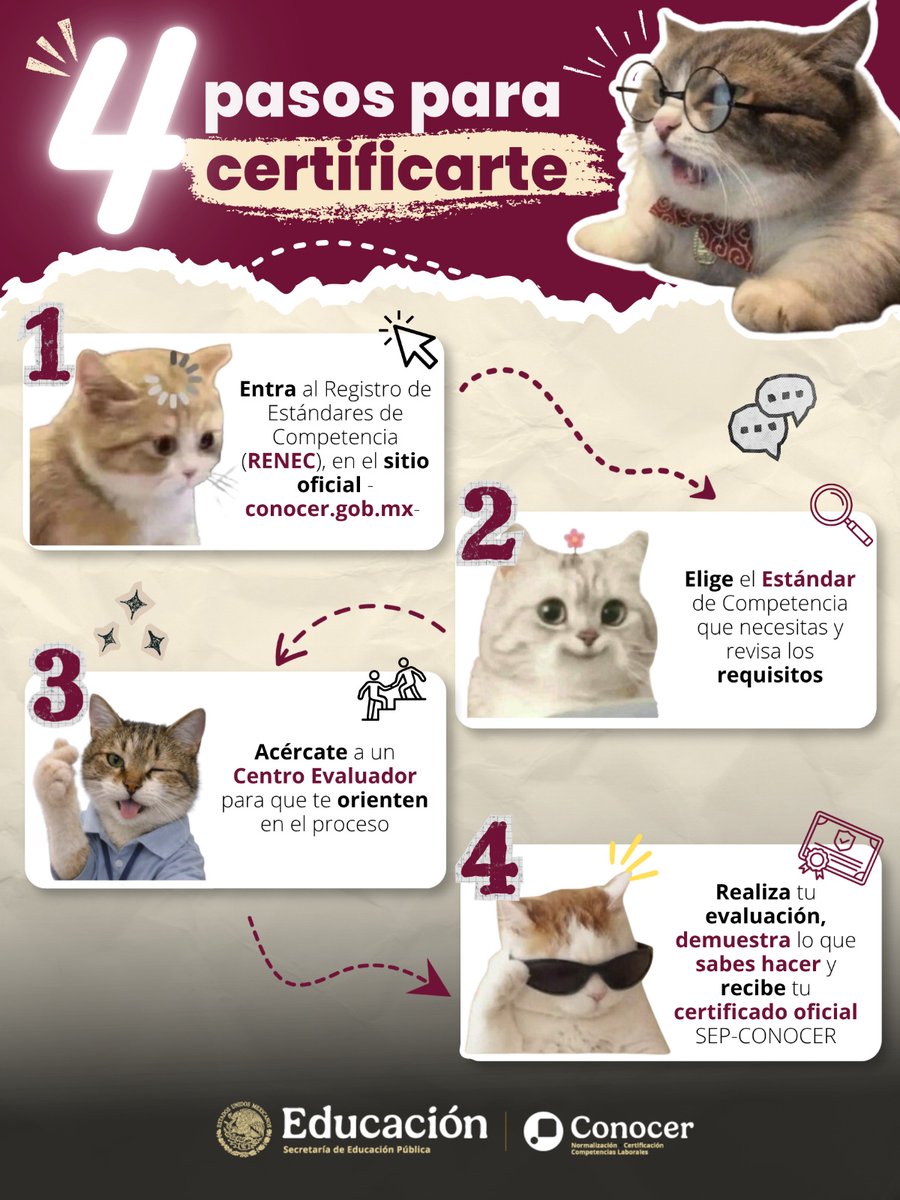 ConocerMx's tweet photo. ¿Cómo certificar lo que ya sabes hacer? 👀📜

Es más fácil de lo que imaginas y este michi te explica el proceso en 4 pasos. 🐱✨

Guarda este carrusel porque lo vas a necesitar. https://t.co/BZlIk5Ebtz