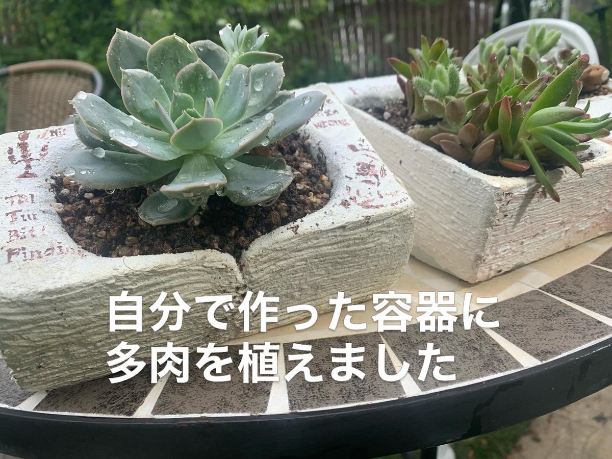 絽真 ゆちか☯️ tweet media