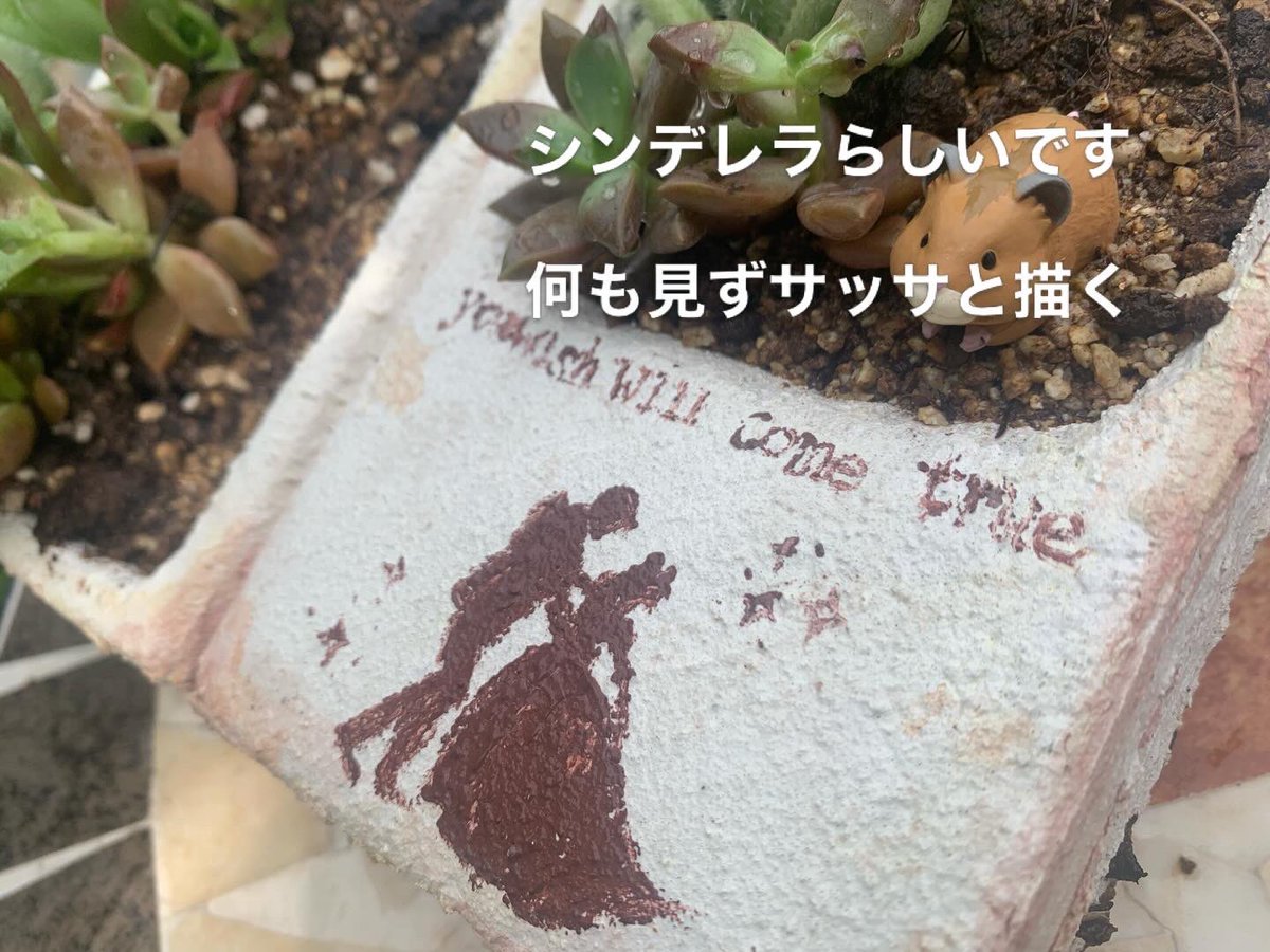 絽真 ゆちか☯️ tweet media