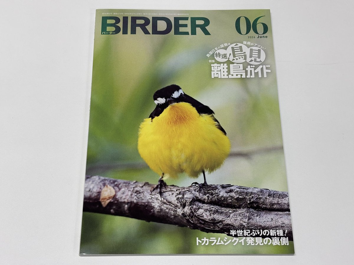月刊「BIRDER」（バーダー）、2026年6月号は離島特集にゃん〜 5/30（土