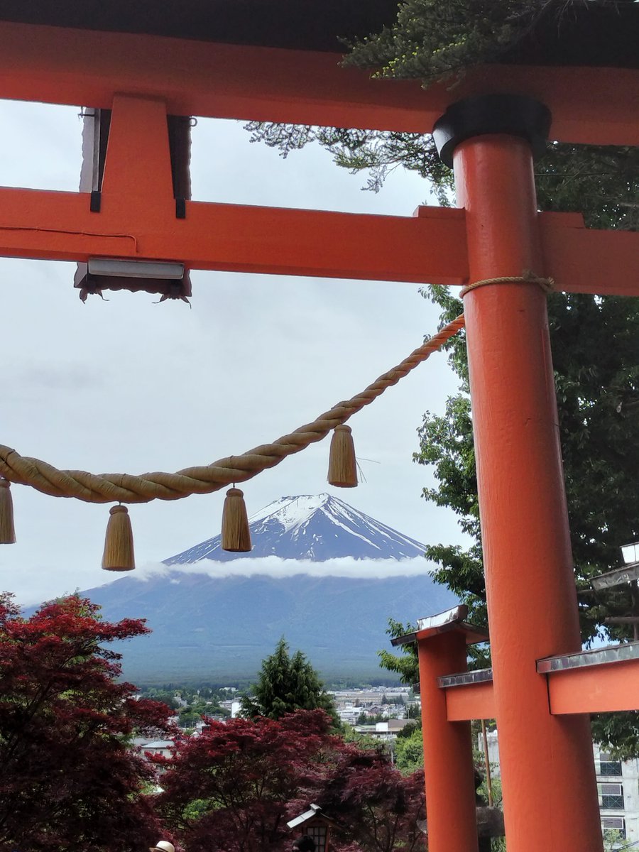 吉田よい tweet media