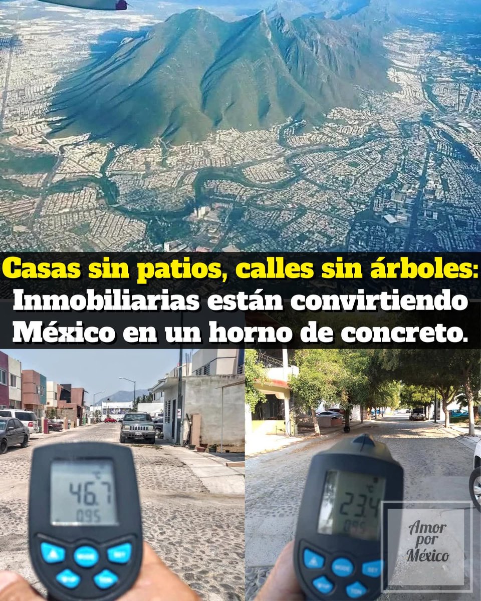🦻🤟🏼Ellie Villarreal tweet media